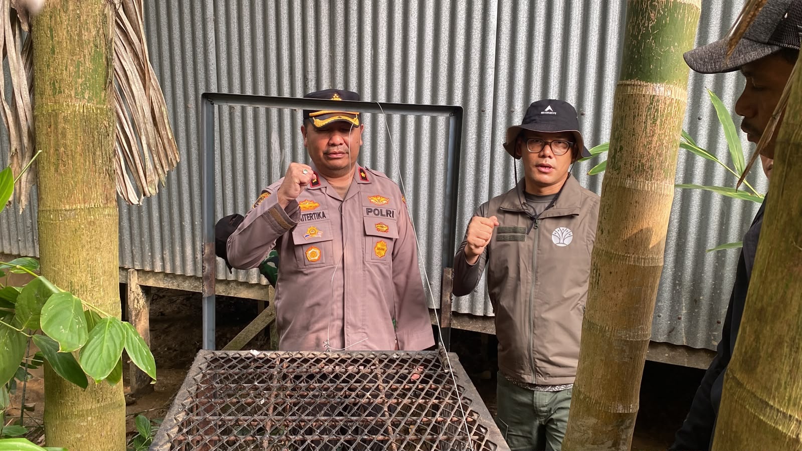 Akhir Teror 15 Hari Kera Bertaring Panjang di Inhil, Masuk Perangkap dan Dievakuasi BBKSDA