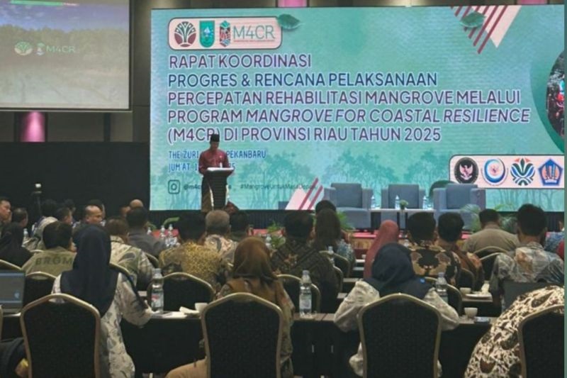 Pemprov Riau Targetkan Rehabilitasi 4.200 Hektare Mangrove di 2025