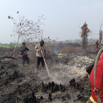 Sebaran 171 Titik Panas Karhutla Riau Pekat Asap! Luas Lahan Terbakar Tembus 16 Ribu Hektare
