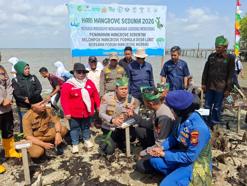 Mangrove Meranti Jadi Benteng Pesisir, Polisi dan Warga Gaspol Tanam Bibit di Lukit 