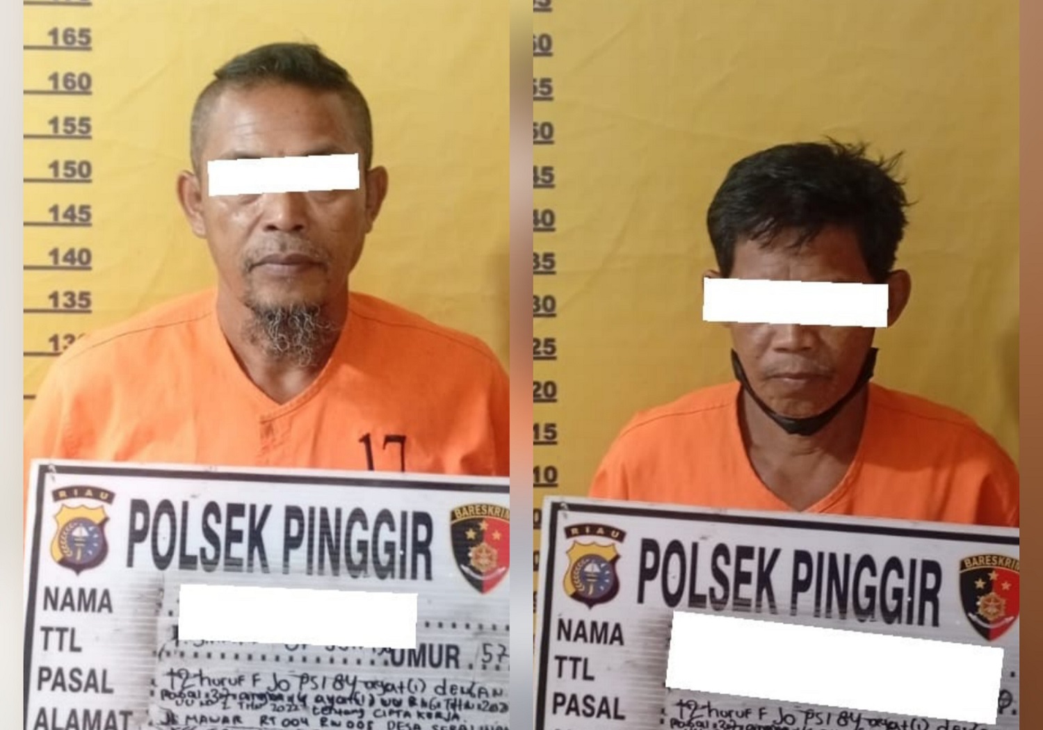 Perambahan Hutan Terbongkar, Polisi Amankan 2 Orang di Bengkalis