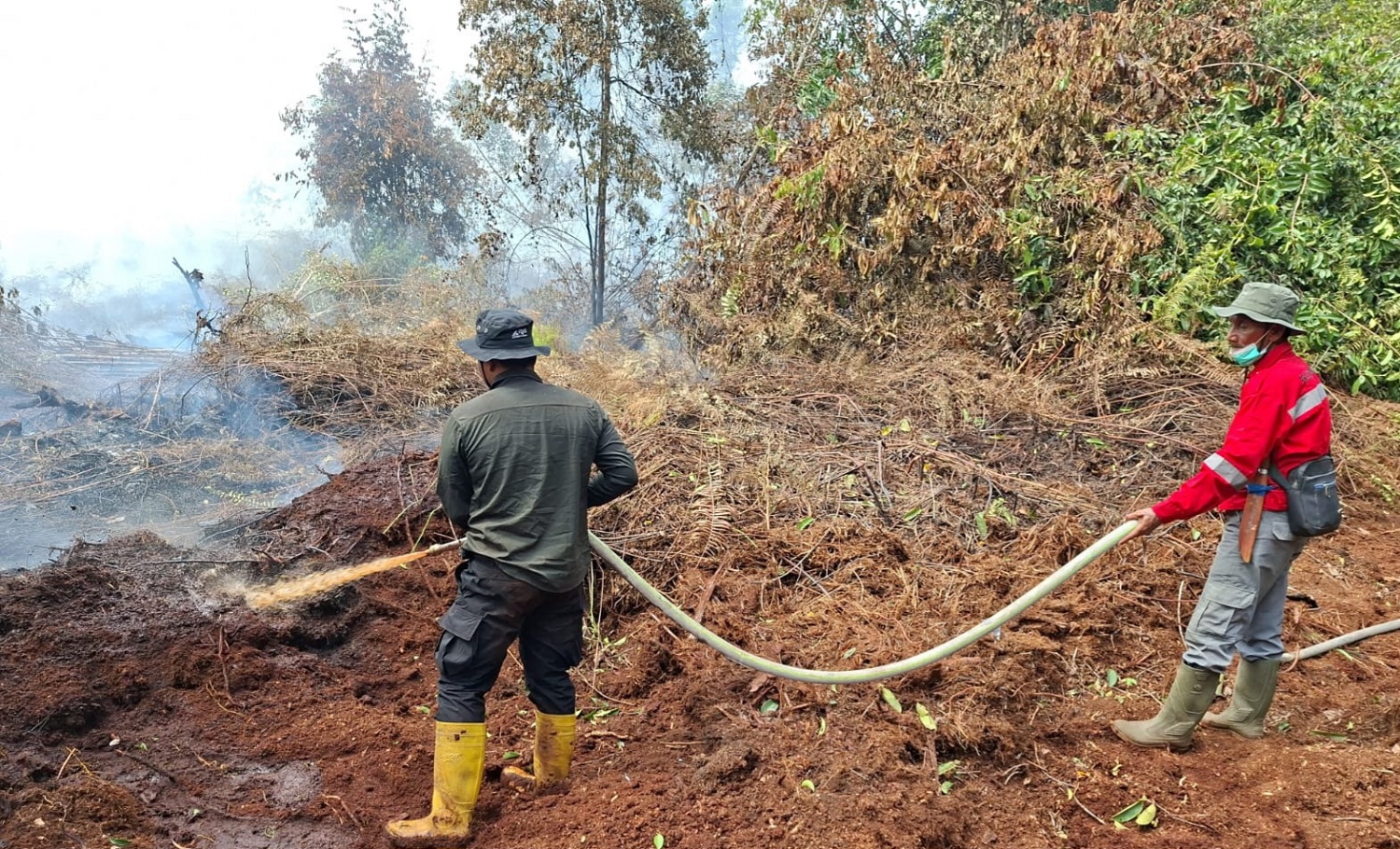 Karhutla Sumatera Makin Gawat, 1.436 Hotspot Terdeteksi! Riau Siapkan Hujan Buatan