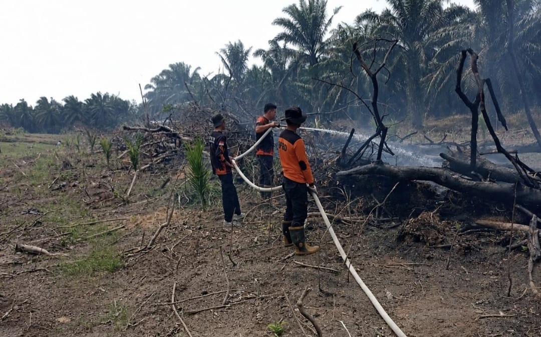 Karhutla Kampar Berhasil Dipadamkan, Api Nyaris Meluas ke Area Perkebunan Warga