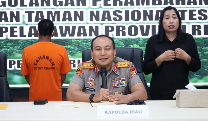 Skandal Perambahan Hutan Tesso Nilo: 200 Surat Hibah Palsu, Lahan Dijual hingga Rp10 Juta