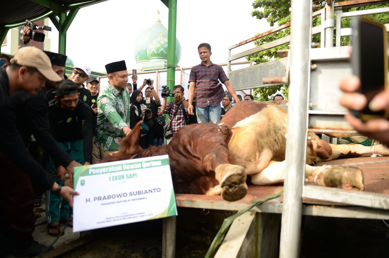 Gubernur Riau Abdul Wahid Sembelih Hewan Kurban Bantuan Presiden Prabowo