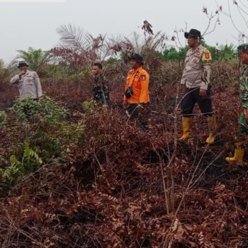 Karhutla Pinggir Bengkalis Padam Usai Hujan Lebat, Tim Gabungan Tetap Siaga