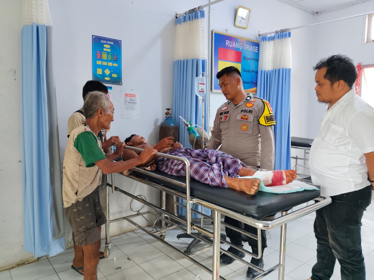 Diserang Tiga Harimau Sumatera, Petani di Inhu Selamat Setelah Bertarung Hidup Mati