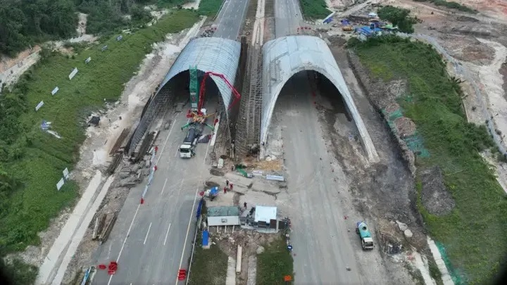 Waskita Bangun Jembatan Satwa di Tol IKN, Jalur Aman untuk Satwa Liar Kalimantan
