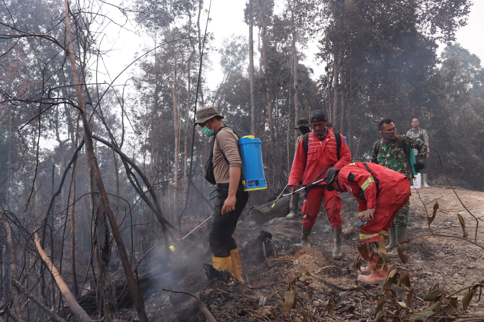 Karhutla Makin Marak, BMKG Deteksi 1.979 Titik Panas di Sumatera dan Riau Terkepung Asap