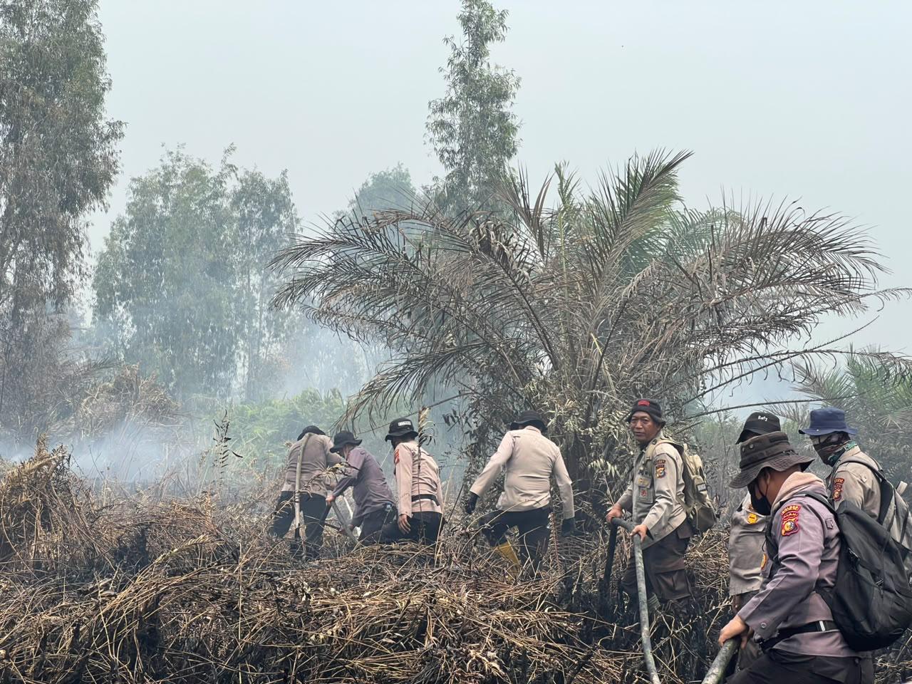 Sumatera Dikepung 1.225 Titik Panas, Asap Mulai Kaburkan Jarak Pandang di Riau