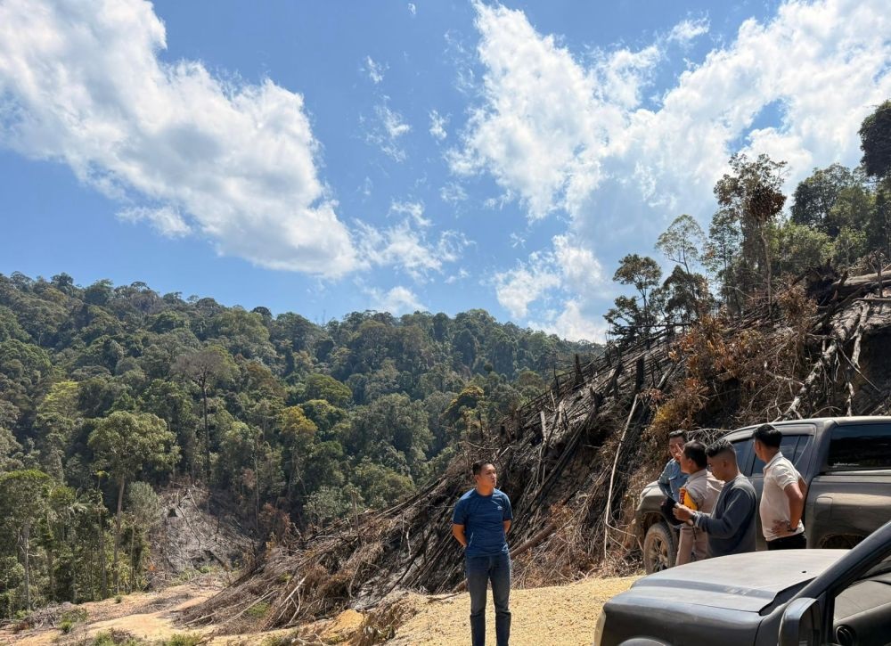 10 Hektar Hutan Ludes! Penegakan Hukum di Rohul Tak Pandang Bulu