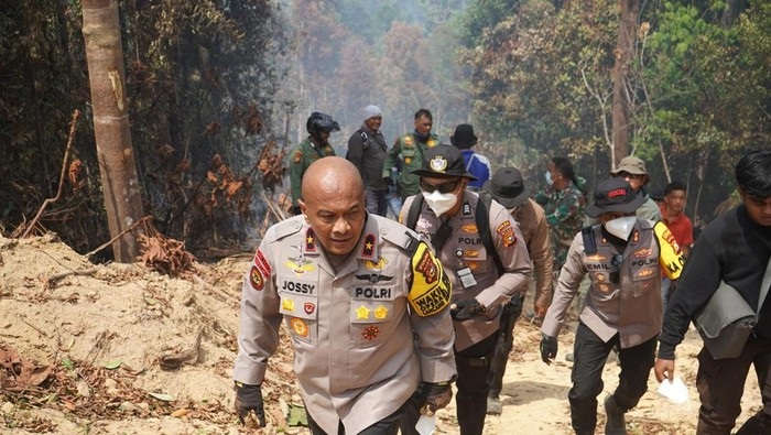 Kebakaran Hutan Landa Rokan Hulu, Pemadaman Terkendala Medan dan Akses Air