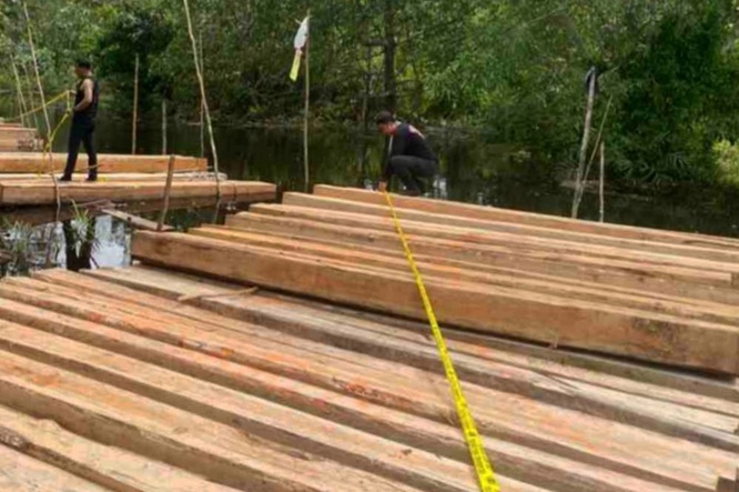 Hutan Meranti Terancam! Polres Bongkar Sindikat Illegal Logging, 8 Ton Kayu Ilegal Disita!