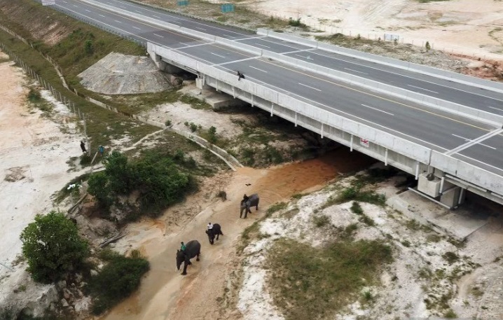 Tol Riau Tembus 187 Km! Infrastruktur Kian Mantap, Ekonomi Siap Melaju