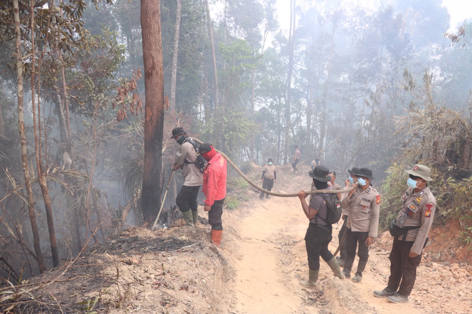 Kabut Asap Karhutla Memburuk, 11 Ribu Warga Riau Terserang ISPA dalam Dua Pekan