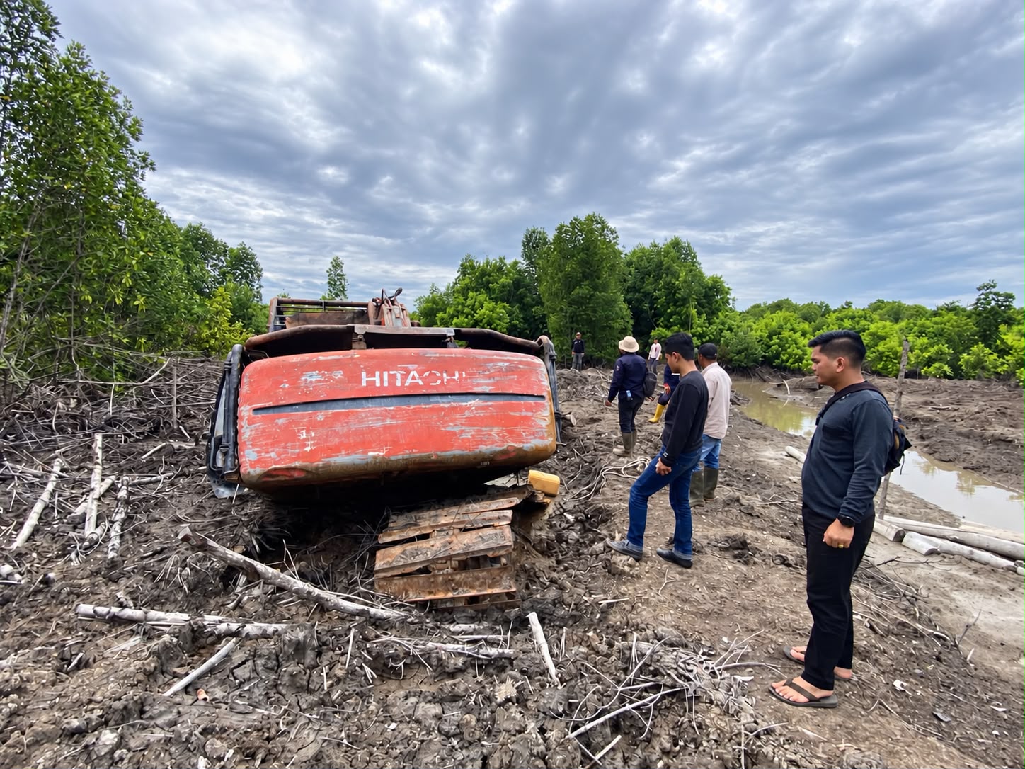 Polda Riau Usut Perambahan 111 Hektare Kawasan Mangrove Dumai, 1 Tersangka Diamankan