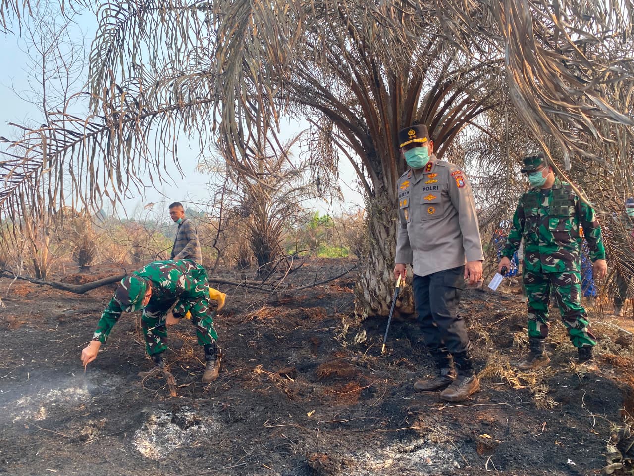 Siak Siaga Karhutla: Kapolda dan Pangdam Turun Gunung Cek Pemadaman Lahan