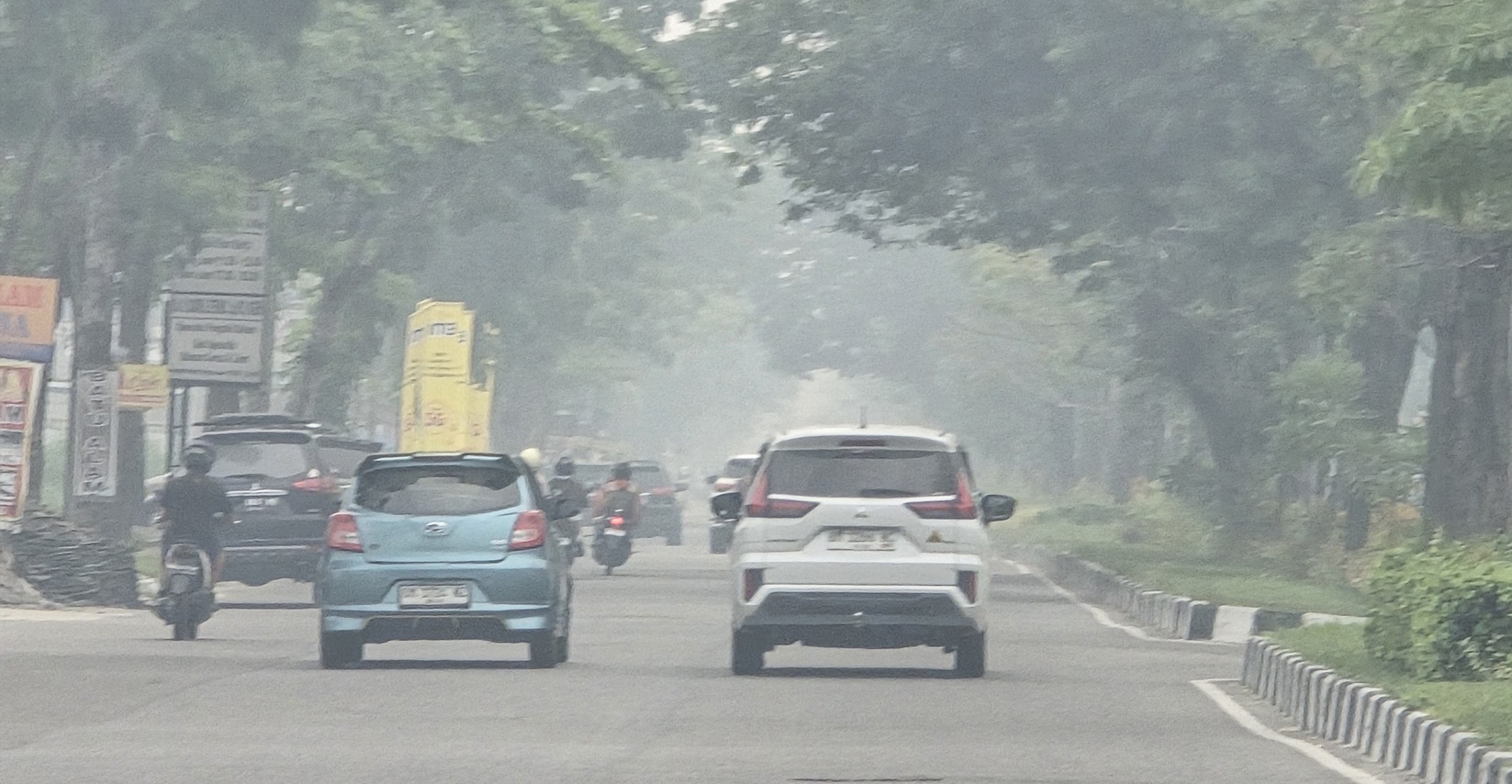 Kabut Asap Kepung Pekanbaru: Udara Berbahaya, Anak-anak Jatuh Sakit