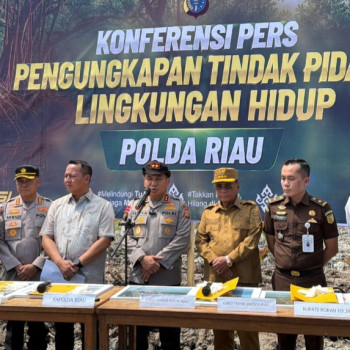 Polda Riau Usut Pembabatan 118 Hektare Mangrove Rohil, BKSDA Buka Suara