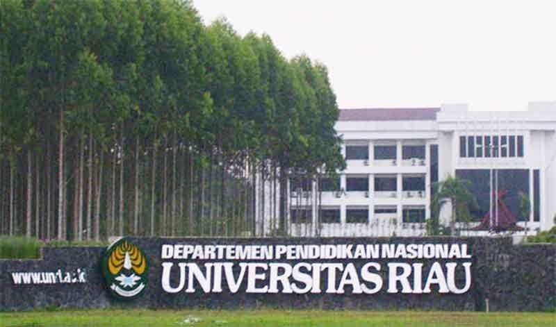 10 Ribu Lebih Calon Mahasiswa Daftar ke UNRI Lewat SMMPTN-Barat 2025, Prodi Kedokteran Paling Diburu