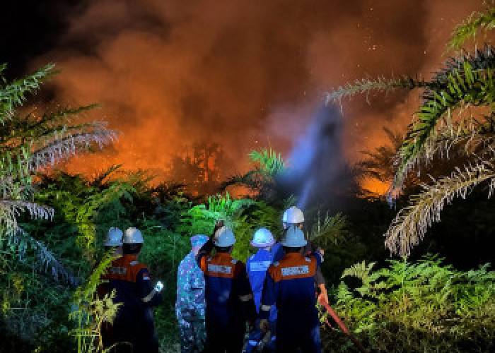Kebakaran Lahan Gambut Siak Ancam Sumur Minyak BSP, Petugas Bertaruh Nyawa Dikawal Senjata