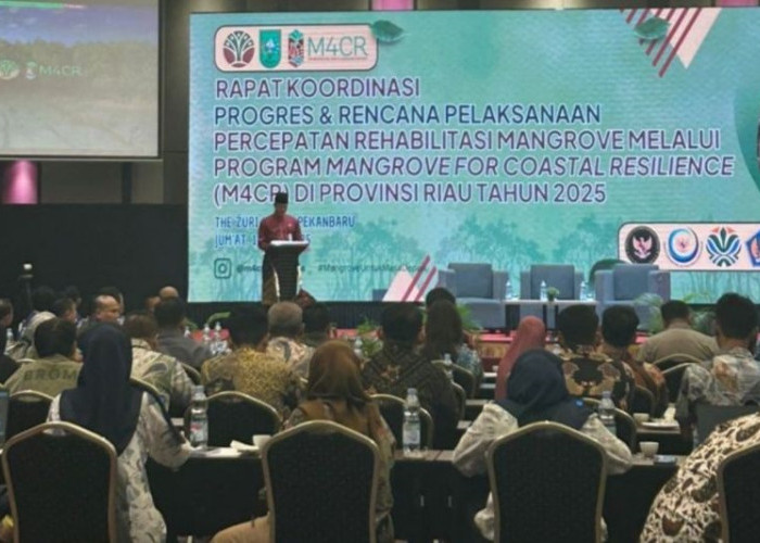 Pemprov Riau Targetkan Rehabilitasi 4.200 Hektare Mangrove di 2025