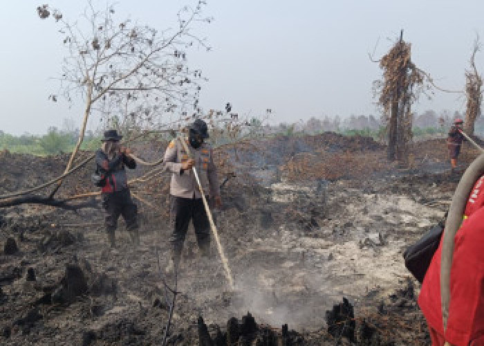 Sebaran 171 Titik Panas Karhutla Riau Pekat Asap! Luas Lahan Terbakar Tembus 16 Ribu Hektare