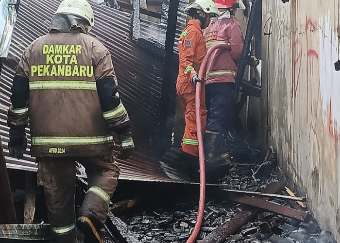 SIAGA SATU! Kebakaran Hebat Hanguskan Rumah Bulat di Pekanbaru, Warga Marpoyan Damai Panik