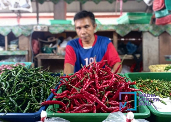 Inflasi Riau Sentuh 5,08 Persen pada September 2025, Didorong Kenaikan Harga Pangan