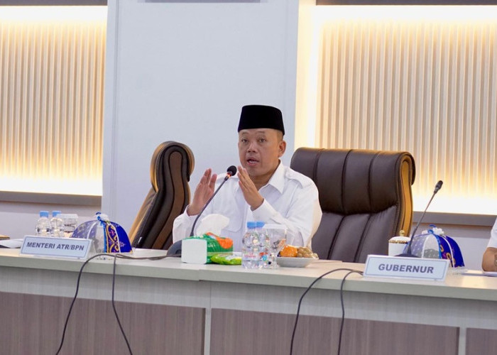 Menteri ATR/BPN Batasi Alih Fungsi Lahan Sawah Guna Perkuat Ketahanan Pangan Nasional