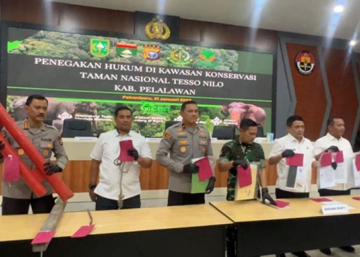 Gawat! Perambah Nekat Rusak Tenda TNI, Polda Riau Sikat 9 Orang di Tesso Nilo