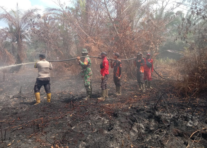 Diduga Akibat Bakar Sampah, Karhutla Hanguskan Lahan di Bengkalis, Polisi Turun Tangan Selidiki