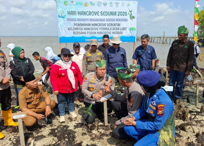 Mangrove Meranti Jadi Benteng Pesisir, Polisi dan Warga Gaspol Tanam Bibit di Lukit 