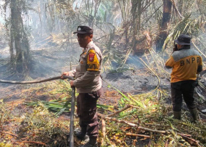Titik Panas di Riau Melonjak Jadi 87 Titik, Pelalawan Menyumbang Terbanyak