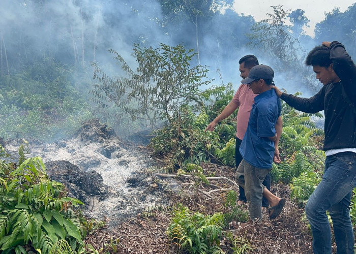 Tak Sampai 24 Jam, Polres Bengkalis Ringkus Pelaku Pembakaran Lahan di Desa Pedekik