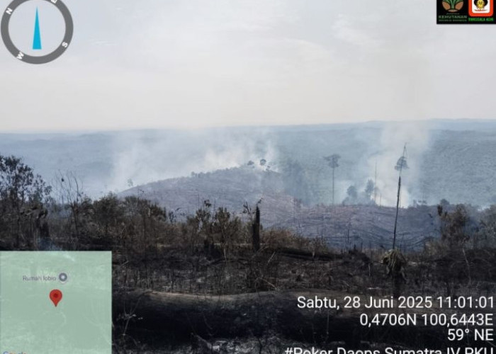 Karhutla Riau 2025 Meluas, Api Lahap 50 Hektare di Kampar dan Rokan Hulu