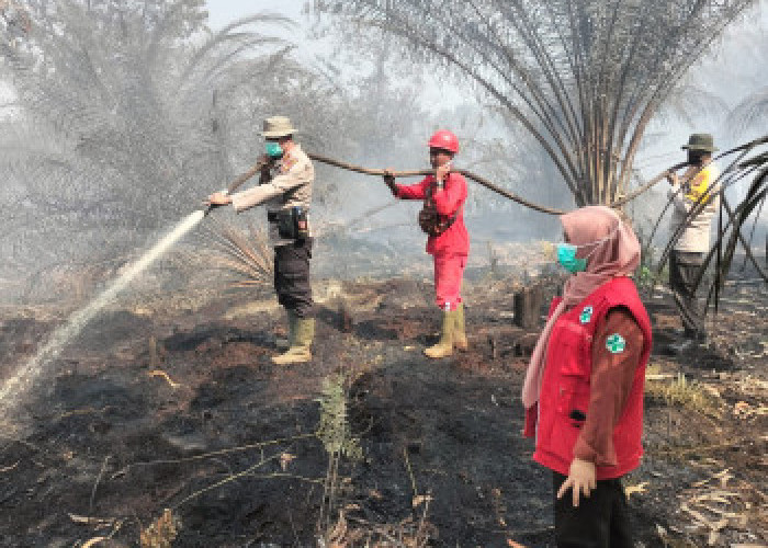 Kebakaran Lahan di Bengkalis Capai 1,5 Hektare, Tim Gabungan Sigap Padamkan Pusat Api