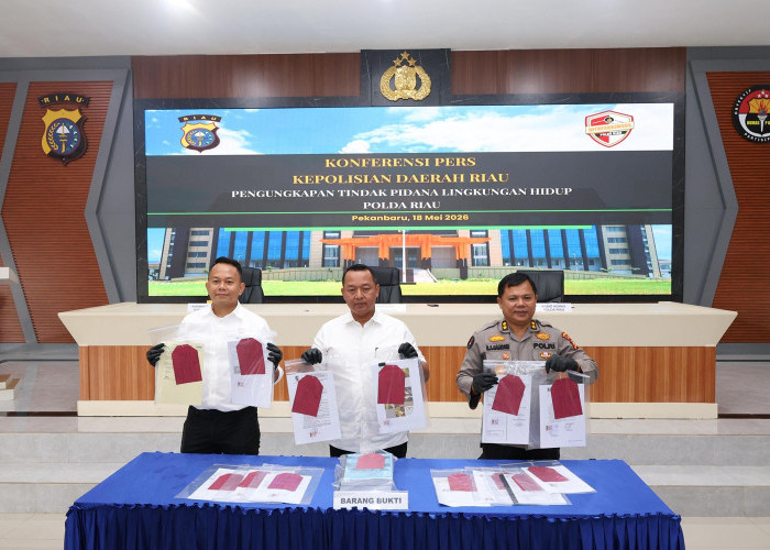 PT Musim Mas Jadi Tersangka, Dugaan Kerusakan Lingkungan di Pelalawan Rugikan Negara Rp187,8 Miliar