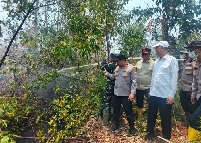 Kapolda Riau Turun Gunung, Dumai Terbakar 56 Hektare Lebih: Akankah Langit Riau Kembali Memerah?