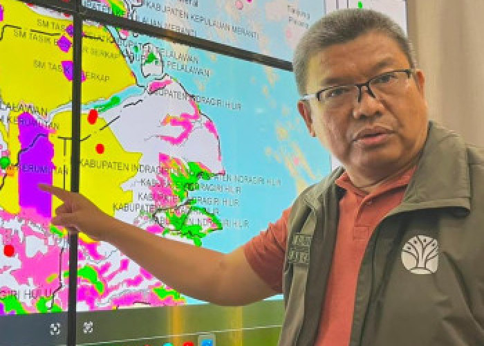 Kebakaran Lahan Gambut SM Kerumutan Riau Ancam Habitat Harimau Sumatera