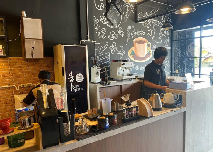 Geger! Kopi Liberika Meranti Asal Riau Sukses Taklukkan Lahan Gambut, Kini Jadi Incaran Nasional!