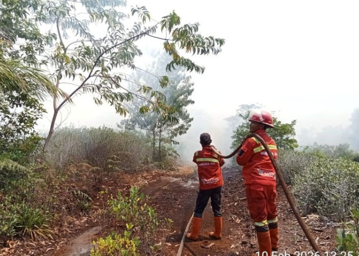 SIAGA SATU! Riau Dikepung Api Jelang Kemarau Ekstrem, 11 Wilayah Sudah Angkat Tangan!