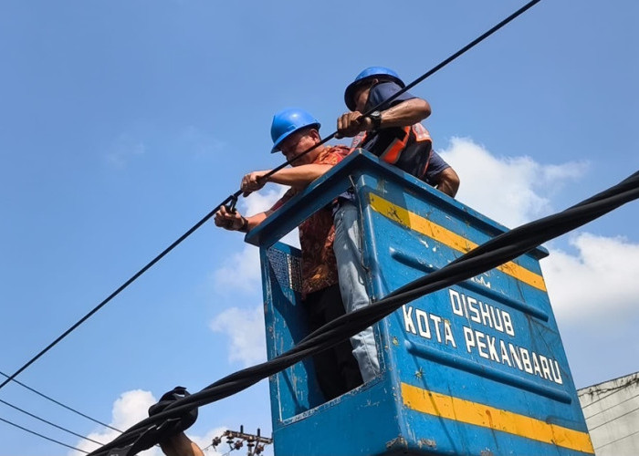 Penertiban Kabel Fiber Optik Pekanbaru Dimulai, Wali Kota Turun Tangan Potong Jalur Ilegal!