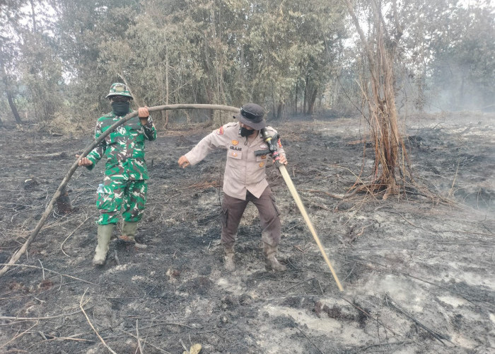 Sumatera Dikepung 1.179 Titik Panas, Kabut Asap Turunkan Jarak Pandang di Riau