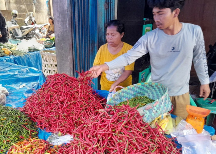 Harga Cabai dan Ayam Picu Lonjakan! 13 Provinsi Alami Kenaikan Indeks Harga, Ini Daftar Wilayah Tertinggi