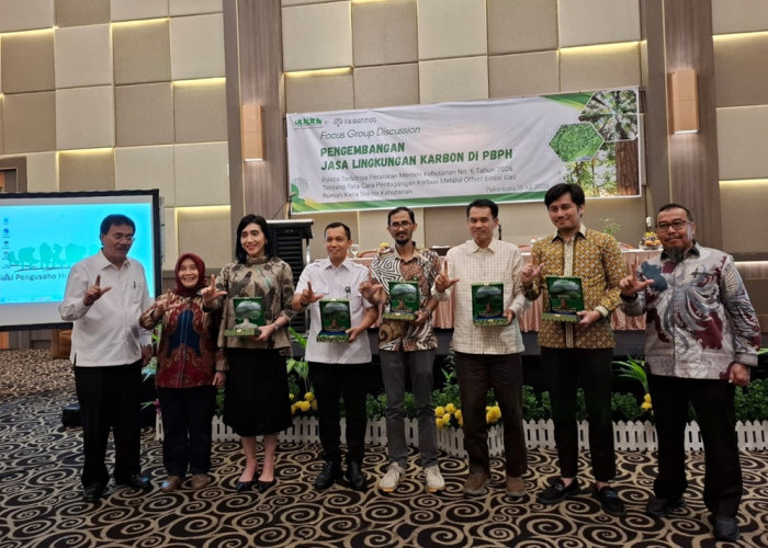 Perdagangan Karbon Kehutanan Riau Mulai Digenjot, Peluang Cuan Baru Terbuka