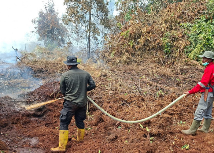 Karhutla Sumatera Makin Gawat, 1.436 Hotspot Terdeteksi! Riau Siapkan Hujan Buatan