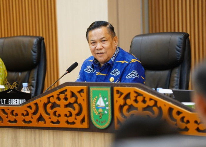 Pemprov Riau Godok Ranperda Baru Demi Lindungi Anak di Dunia Nyata dan Digital