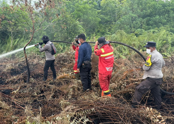 Kebakaran Hutan Bengkalis Meluas 80 Hektare, 117 Personel dan 3 Helikopter Dikerahkan