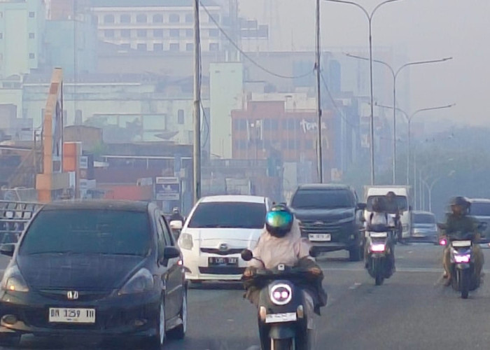 Empat Daerah di Riau Diselimuti Kabut Asap, Ribuan Titik Panas Karhutla Tersebar di Sumatera